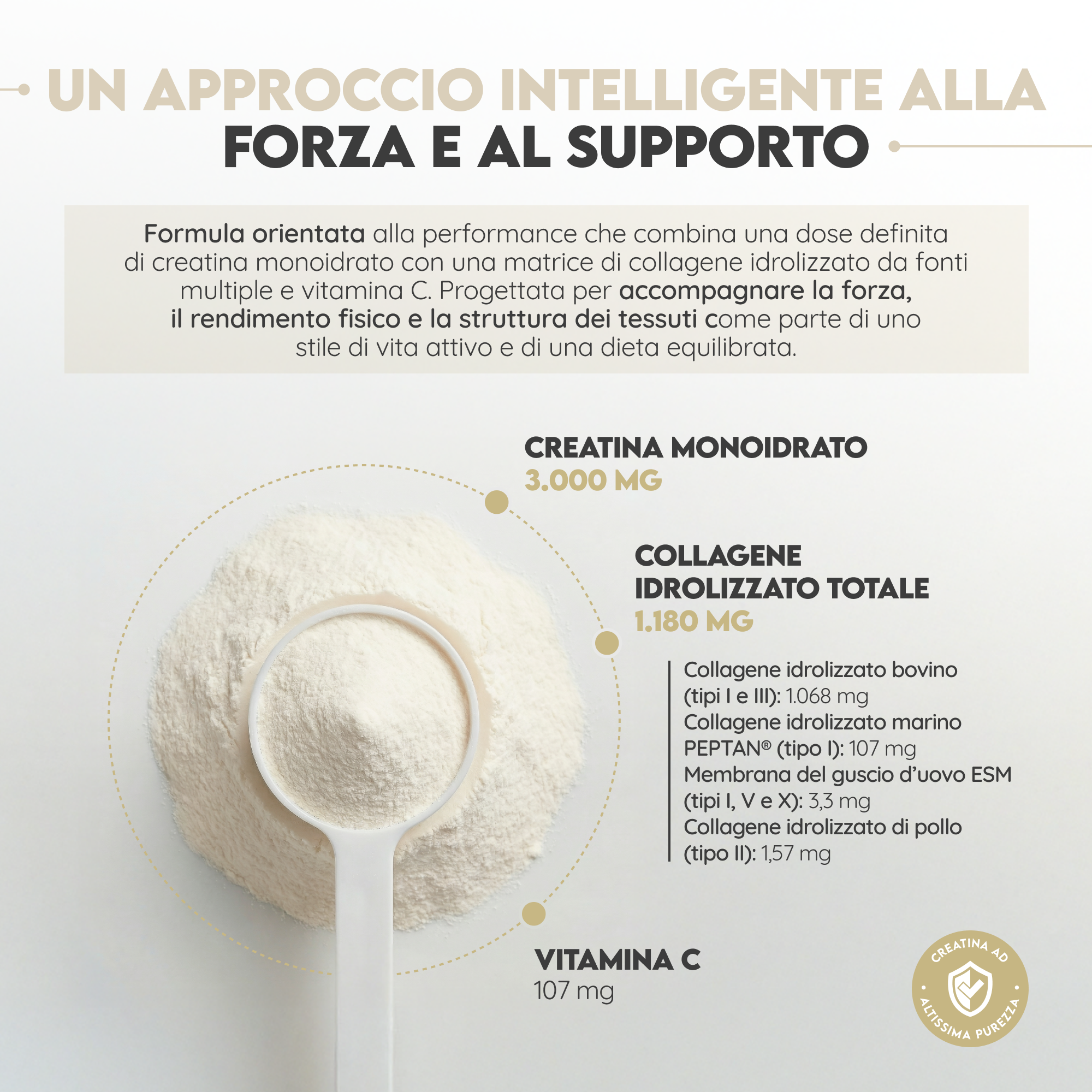 Creatina monoidrato e multi collagene