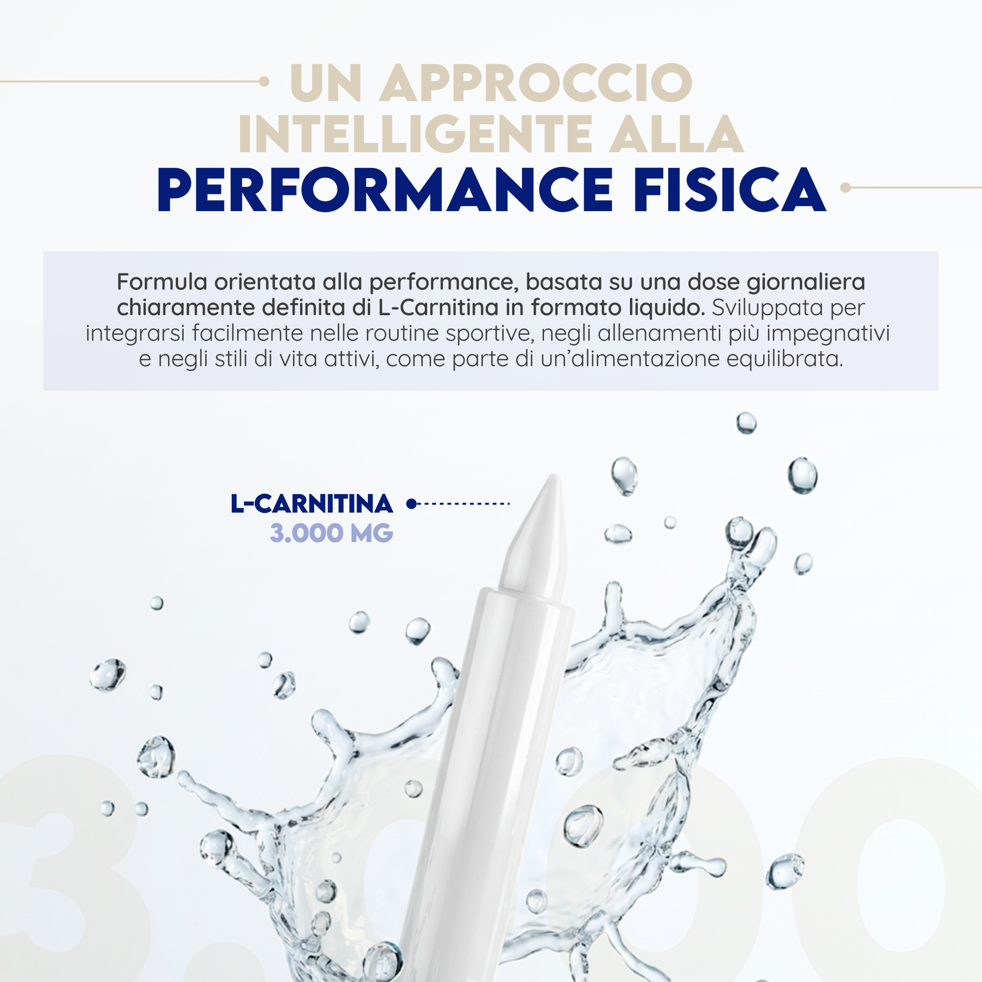 L-Carnitina 3000