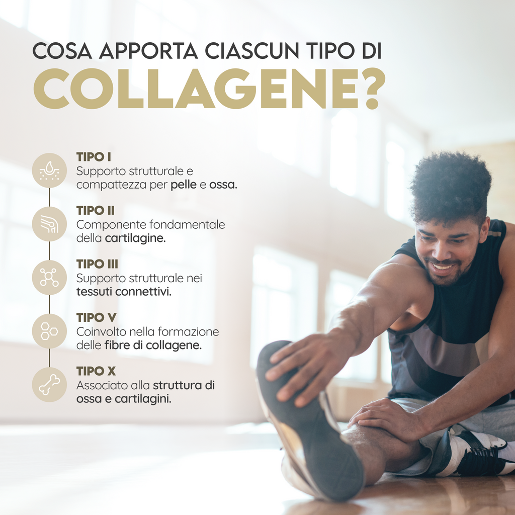 Multi Collagen