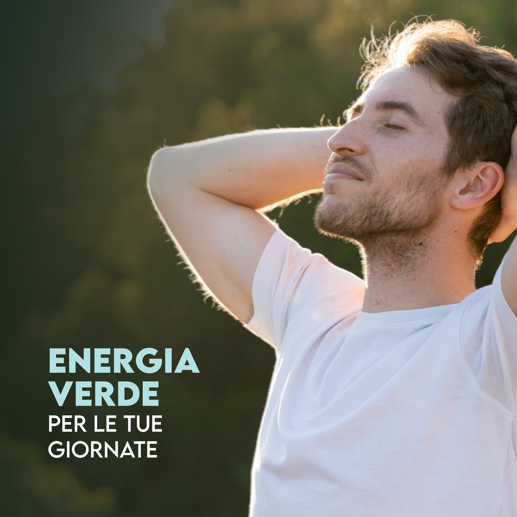 Spirulina con clorella