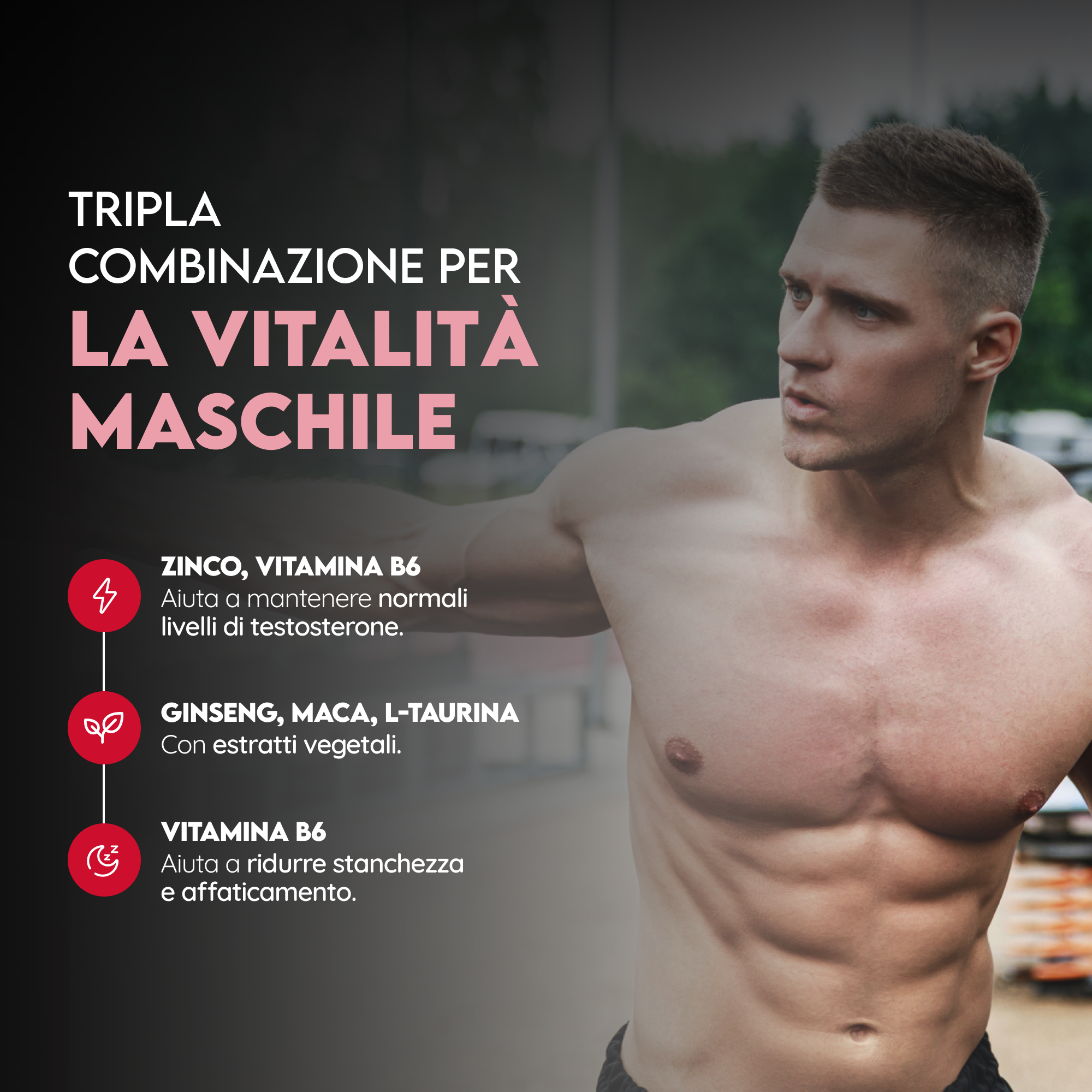 Duo Pack Testosterone Booster